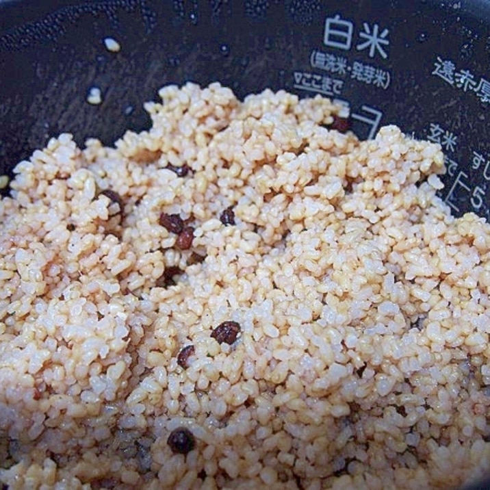 酵素玄米